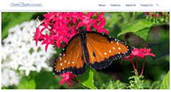 Desktop Screenshot of creativesparksimagery.com